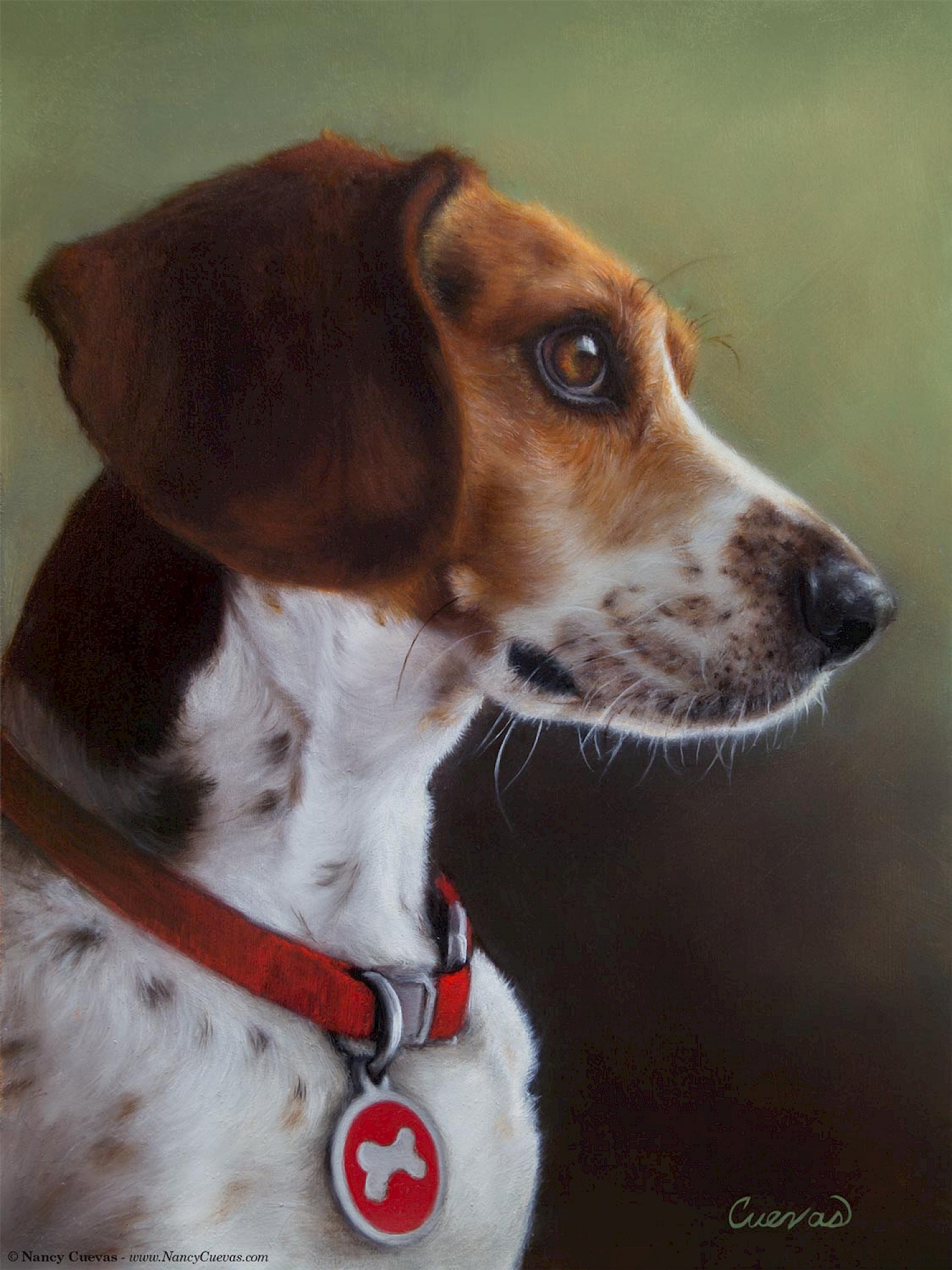 © Nancy Cuevas - Snoopy}