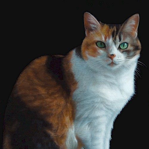 Calico}